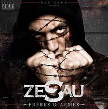 Cover de Zesau