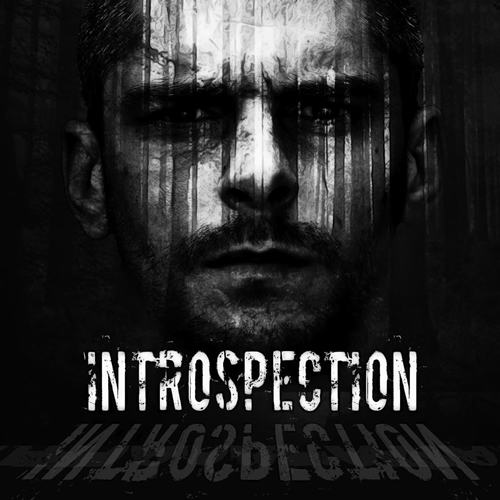 Introspection cover maxi