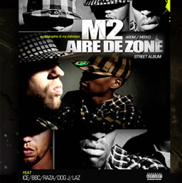 M2 - Aire de zone