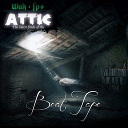 Wak and Fp+ - The latest finds of the attic