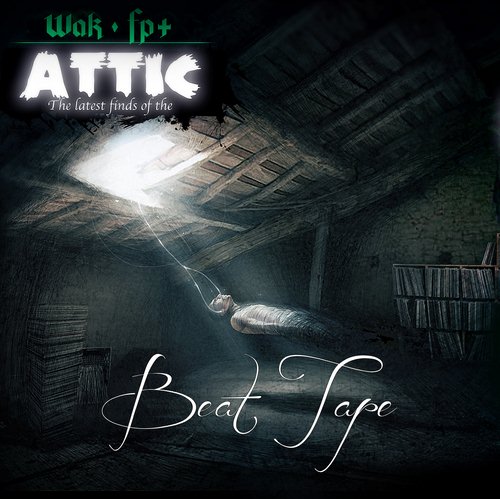 The latest finds of the attic cover maxi