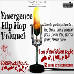 emergence hip hop
