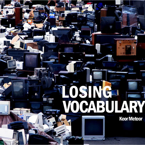 Losing vocabulary cover maxi