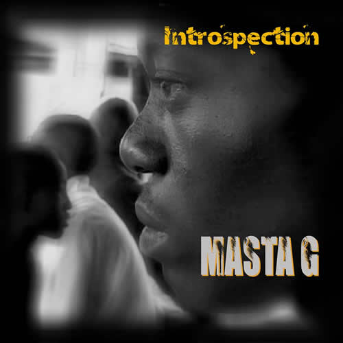 Introspection cover maxi