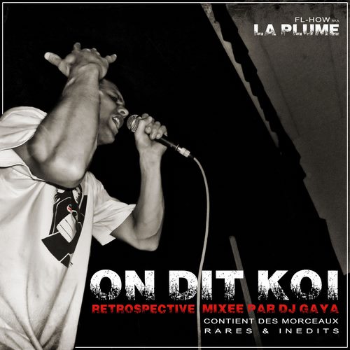 On dit koi cover maxi