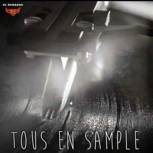 Tous en sample cover maxi