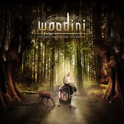 Woodini - My soul, My hip hop, my remix